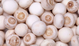 蘑菇吃瓜料爆料可信吗,可信度分析揭秘