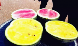 吃瓜爆料图片大全高清壁纸,揭秘吃瓜爆料图片大全