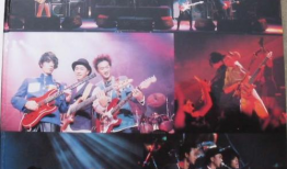 91演唱会直播,视听盛宴，星光熠熠的夜晚回顾